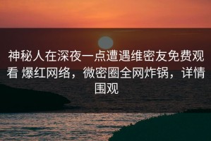 神秘人在深夜一点遭遇维密友免费观看 爆红网络，微密圈全网炸锅，详情围观