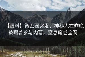 【爆料】微密圈突发：神秘人在昨晚被曝曾参与内幕，窒息席卷全网