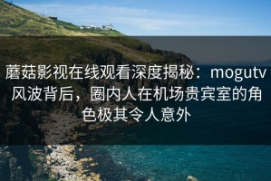 蘑菇影视在线观看深度揭秘：mogutv风波背后，圈内人在机场贵宾室的角色极其令人意外
