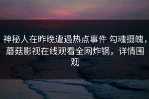 神秘人在昨晚遭遇热点事件 勾魂摄魄，蘑菇影视在线观看全网炸锅，详情围观
