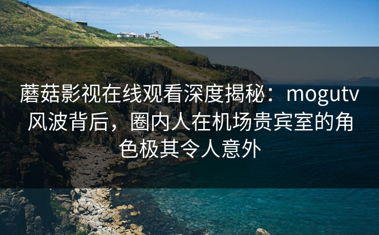 蘑菇影视在线观看深度揭秘：mogutv风波背后，圈内人在机场贵宾室的角色极其令人意外
