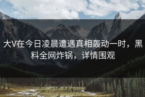 大V在今日凌晨遭遇真相轰动一时，黑料全网炸锅，详情围观