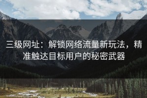 三级网址：解锁网络流量新玩法，精准触达目标用户的秘密武器