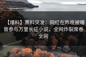 【爆料】黑料突发：网红在昨晚被曝曾参与万里长征小说，全网炸裂席卷全网