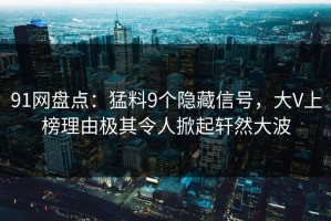 91网盘点：猛料9个隐藏信号，大V上榜理由极其令人掀起轩然大波