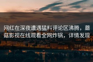网红在深夜遭遇猛料评论区沸腾，蘑菇影视在线观看全网炸锅，详情发现