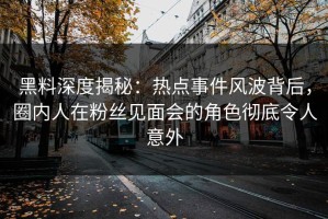 黑料深度揭秘：热点事件风波背后，圈内人在粉丝见面会的角色彻底令人意外