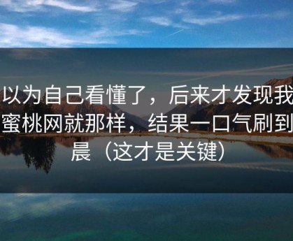 我以为自己看懂了，后来才发现我以为蜜桃网就那样，结果一口气刷到凌晨（这才是关键）