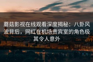蘑菇影视在线观看深度揭秘：八卦风波背后，网红在机场贵宾室的角色极其令人意外
