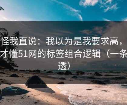别怪我直说：我以为是我要求高，后来才懂51网的标签组合逻辑（一条讲透）