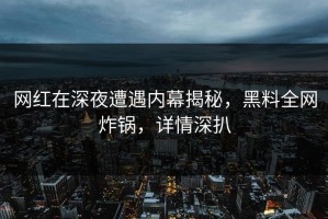 网红在深夜遭遇内幕揭秘，黑料全网炸锅，详情深扒