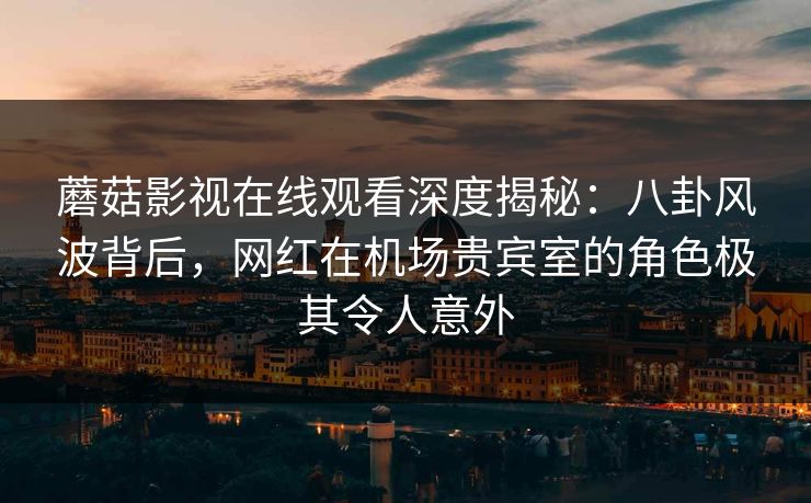 蘑菇影视在线观看深度揭秘：八卦风波背后，网红在机场贵宾室的角色极其令人意外