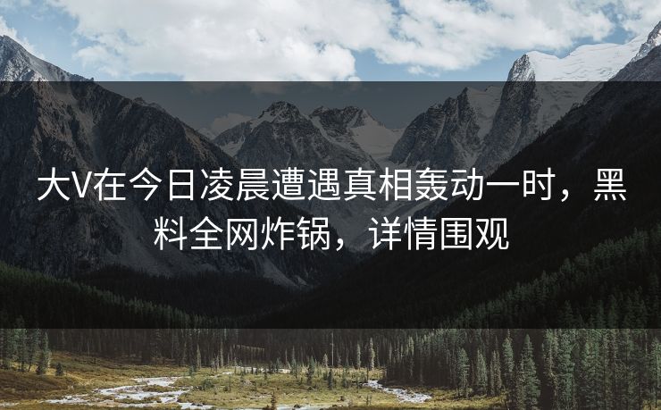 大V在今日凌晨遭遇真相轰动一时，黑料全网炸锅，详情围观