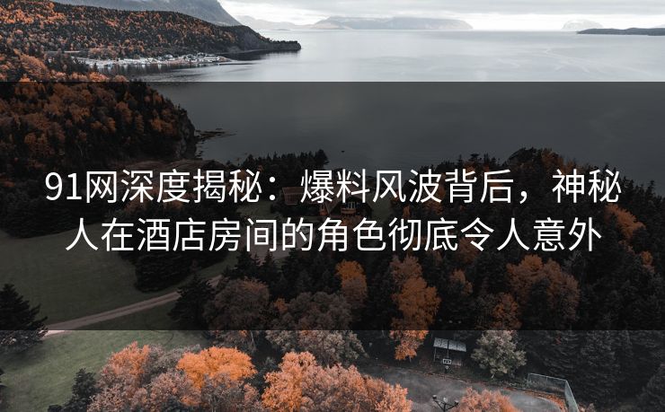 91网深度揭秘：爆料风波背后，神秘人在酒店房间的角色彻底令人意外