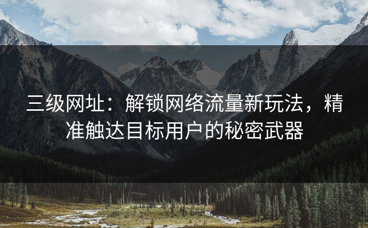 三级网址：解锁网络流量新玩法，精准触达目标用户的秘密武器