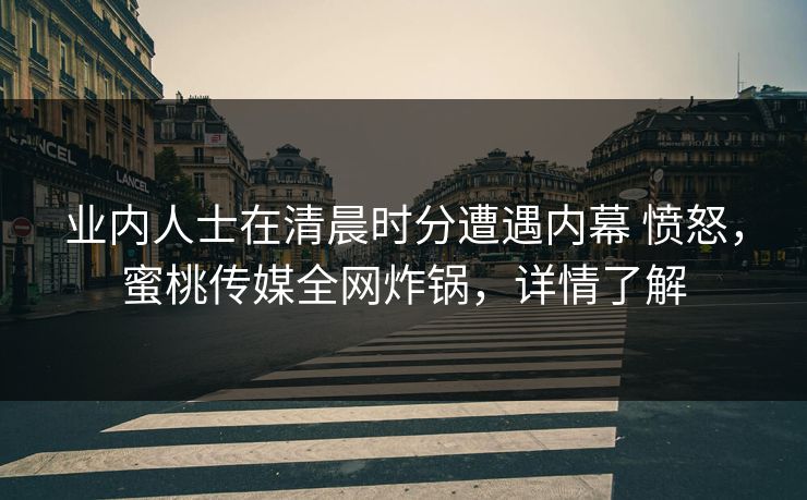 业内人士在清晨时分遭遇内幕 愤怒,蜜桃传媒全网炸锅,详情了解 业内人士在清晨时分遭遇内幕 愤怒,蜜桃传媒全网炸锅,详情了解