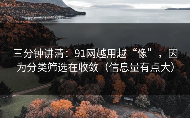 三分钟讲清:91网越用越“像”,因为分类筛选在收敛(信息量有点大) 三分钟讲清:91网越用越“像”,因为分类筛选在收敛(信息量有点大)
